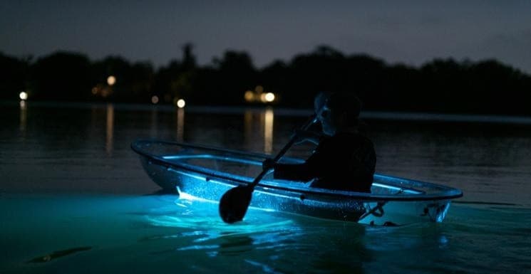 Vieques Bio Bay + Beach Day Trip by Ferry from San Juan