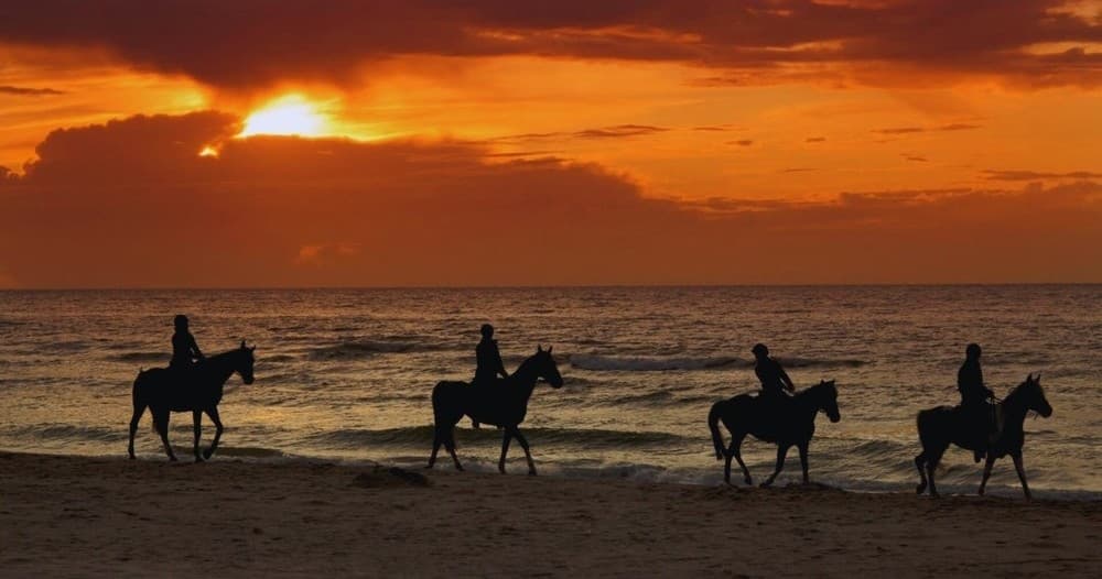 Sunset Horseback Ride At The Beach