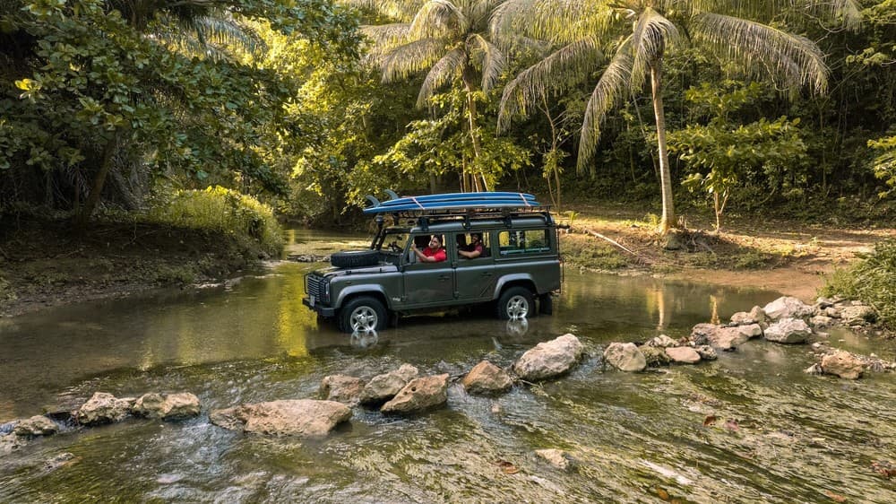 4x4 Safari Adventure