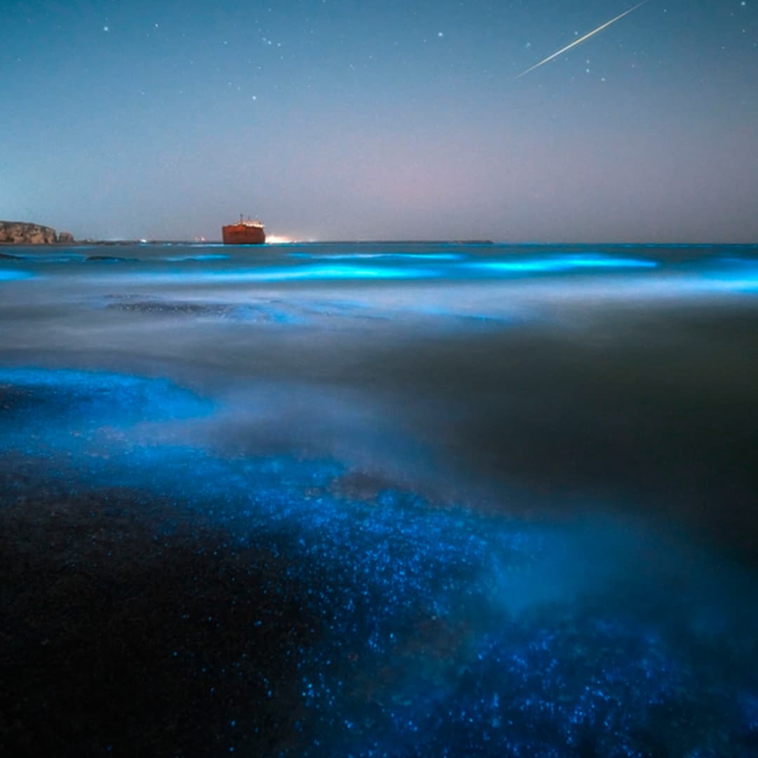 Coamo Hot Springs, Ponce Tour & Lajas Bioluminescent Boat Tour